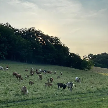 Na Farme Cerovo